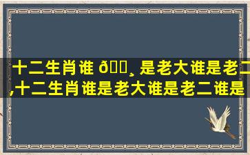 十二生肖谁 🌸 是老大谁是老二,十二生肖谁是老大谁是老二谁是老三谁是四